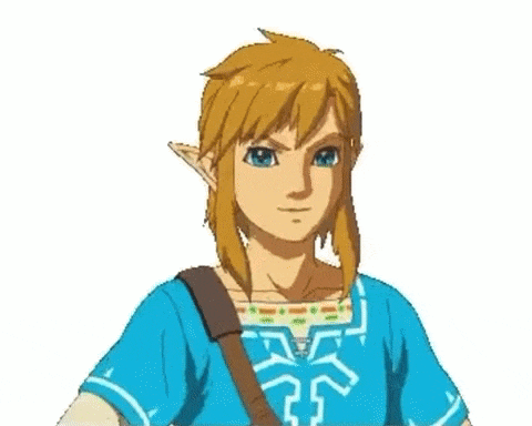 Legend Of Zelda Botw: Link's Thumbs Up
