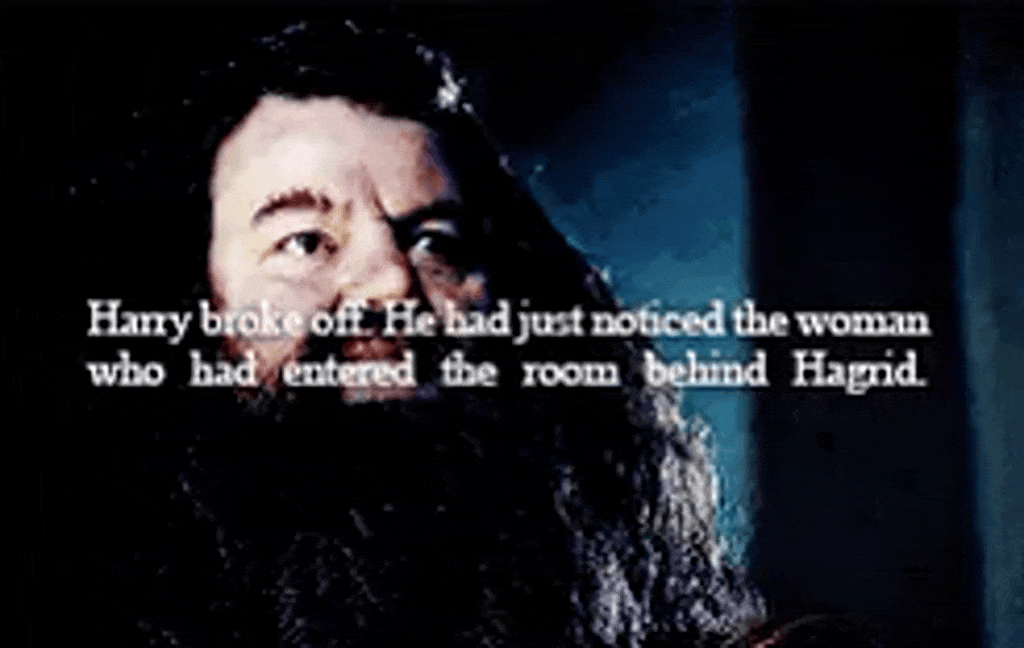 Harry Potter Deathly Hallows Chapter Five