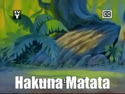 Hakuna Matata: What a Wonderful Phrase with Timon