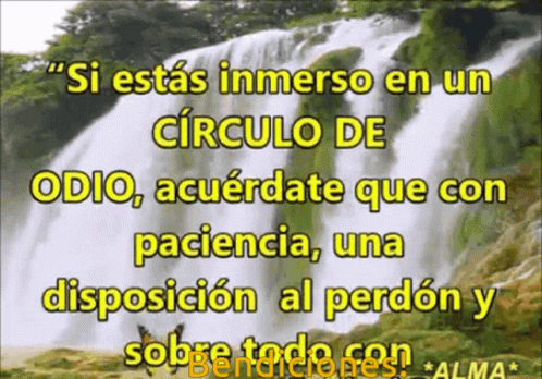 Bendiciones: Paciencia y Perdón