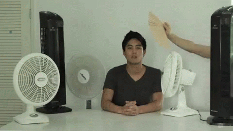 Stay Cool – free GIF download | meme platform | memes GIF