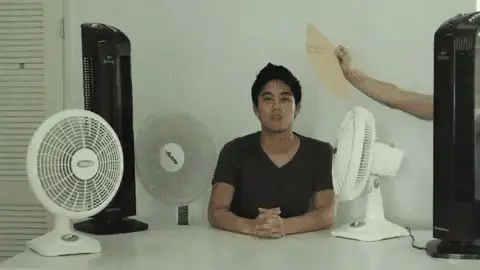 Stay Cool – free GIF download | meme platform | memes GIF