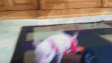 GIF