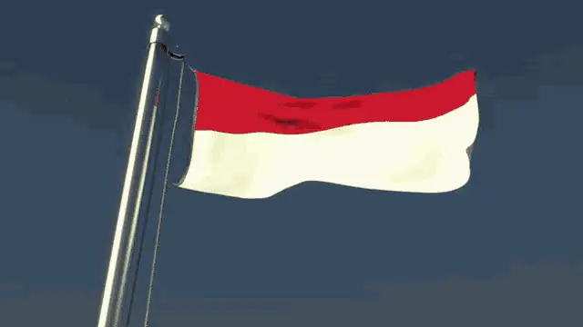Monaco Flag Waving in the Wind