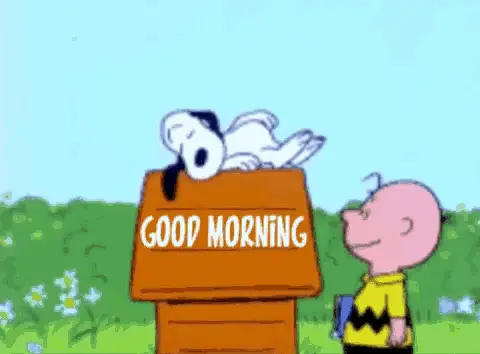 Good Morning Snoopy and Charlie Brown – free GIF download | meme platform | memes GIF