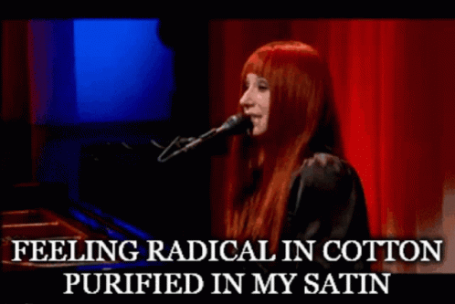 Tori Amos Velvet Revolution
