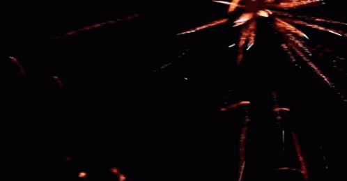 Feu D'Artifice - Fête Nationale (14 Juillet)