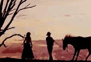 Wild Horse Taming