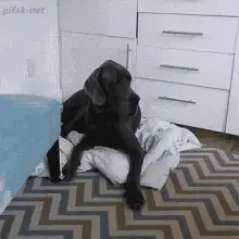 Cuddle Tired