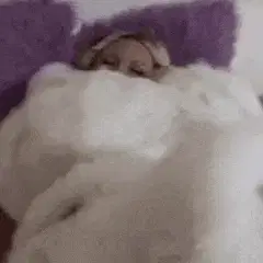 fur