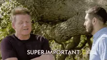 Super Important Gordon Ramsay
