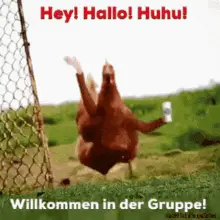 Hey Hallo