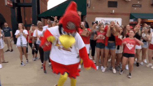 St Louis Cardinals Fredbird Dances for Cheering Fans