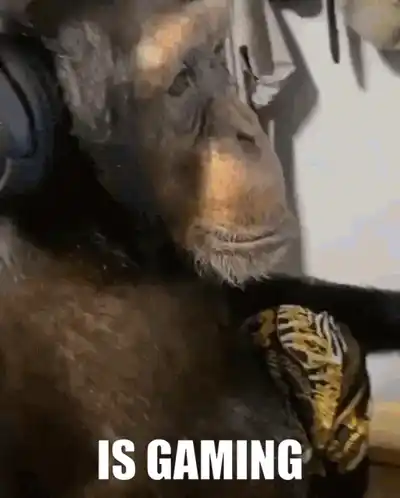 David is Gaming