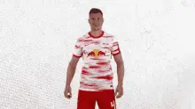 Cheer For Number4 Willi Orban