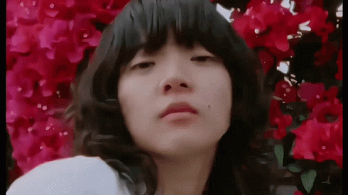 GIF 이미지