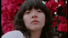 GIF 이미지
