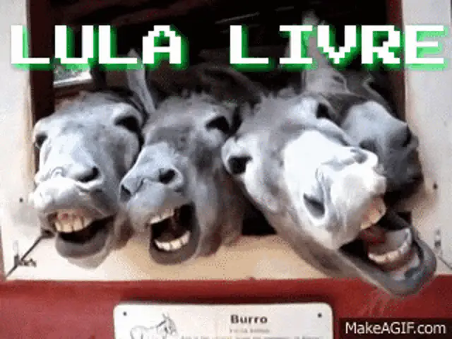 Lula Livre Iotti