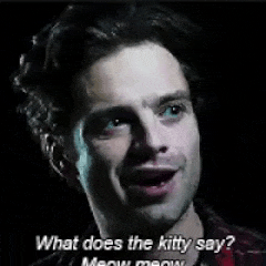 Trending Sebastian Stan