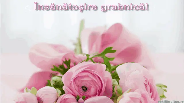 Insanatosire Grabnica! Totul Va Fi Bine!