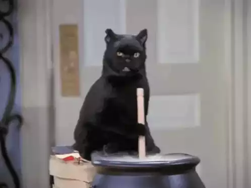 Salem The Cat Malvado Stirring Cauldron