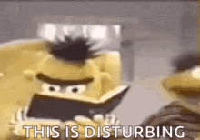 Bert's Disturbing Stare While Reading