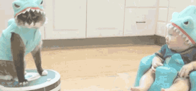 Baby and Cat Shark Gathering