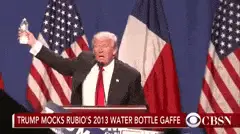 bottles