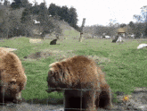 GIF uploaded by Mr.Blk