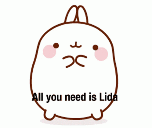All You Need Is Lida