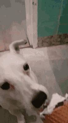 GIF uploaded by Christian