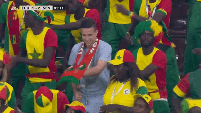 Senegal World Cup Fans Celebrate – free GIF download | meme platform | memes GIF