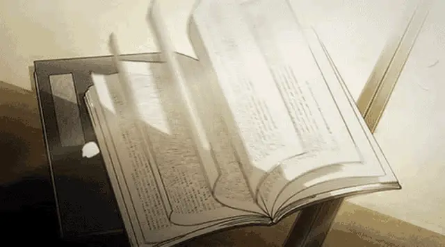Paola: Book with Flipping Pages