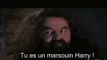 Harry Potter Porpoise