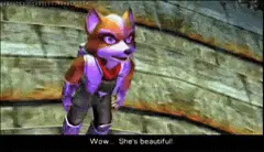 This happend  | Star Fox