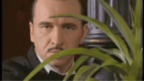 Gojko Maric in Ranjeni Orao: Peeking from Plant