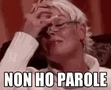 Non Ho Parole - Senza Parole Shock