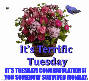 Terrific Tuesday: You Survived Monday!
