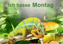 Ich Hasse Montag