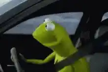 Kermit Say What