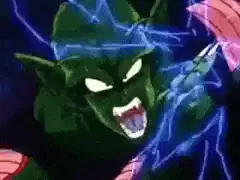piccolo1