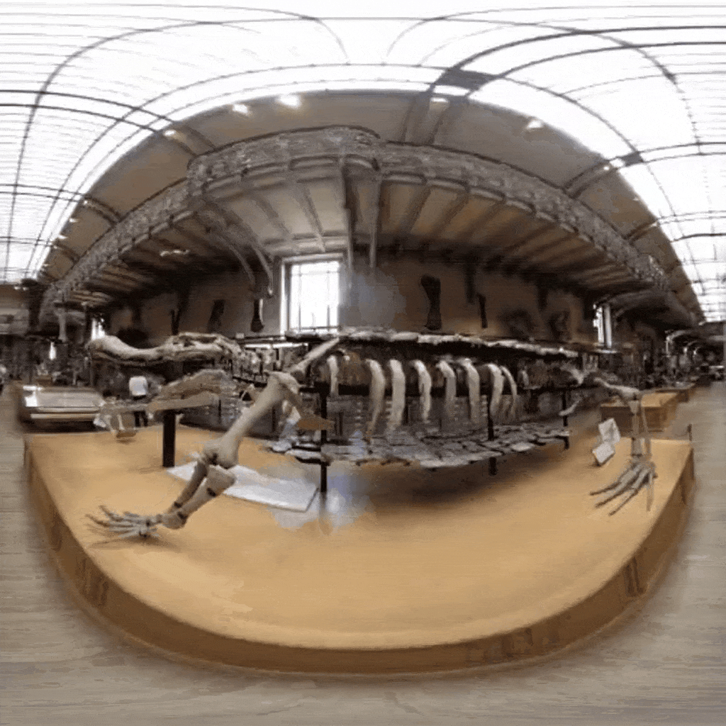 Stereoscopy Crocodile