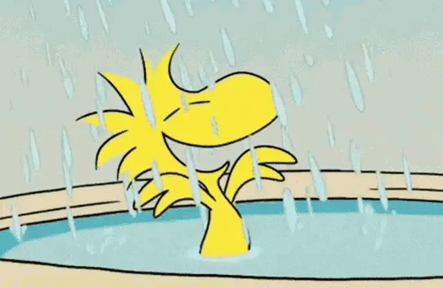 Woodstock Splashing in the Rain