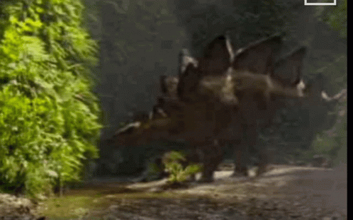 Stegosaurus Walking in a Lush Jungle