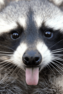 GIF uploaded by Etienne