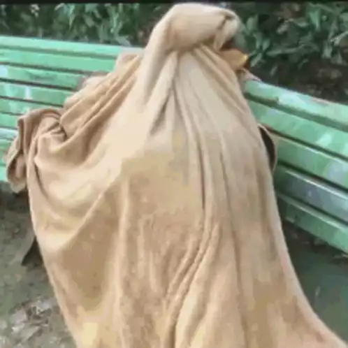 Man Wrapped in Blanket on Bench