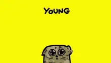 Scottex Young