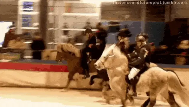 Icelandic Horse Tölt