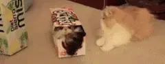 Stuck