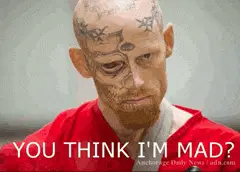 are you mad